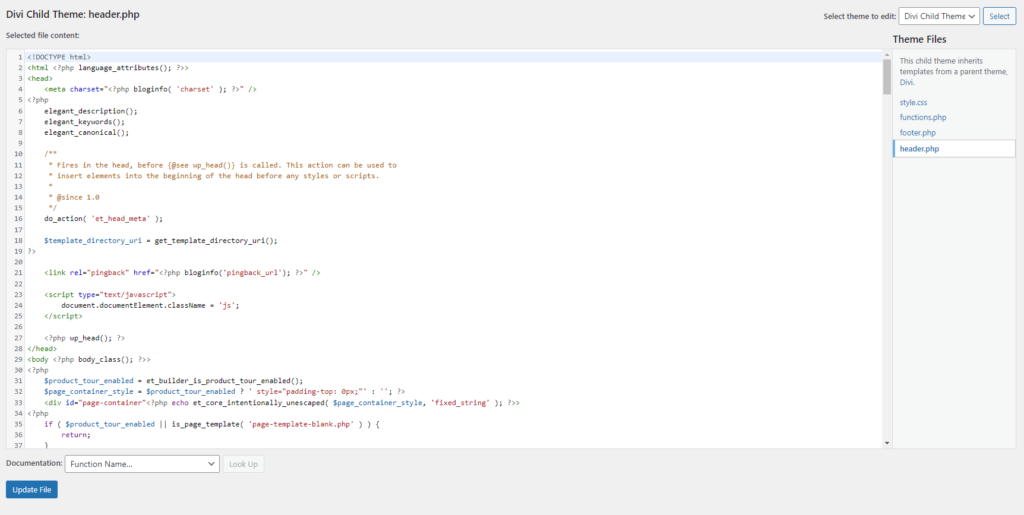 Screenshot: DIVI Child Theme: header.php