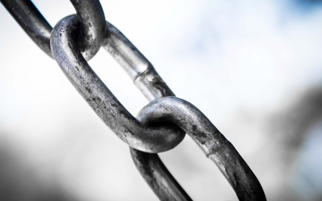 good backlinks are important to improve your website's SEO